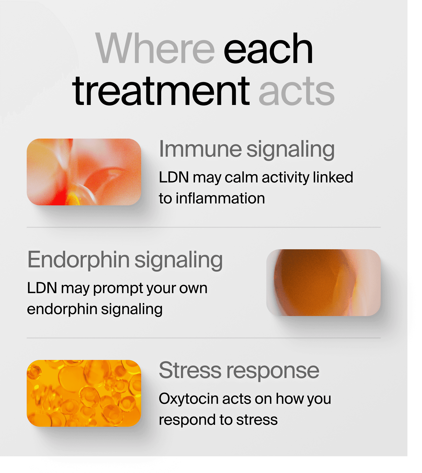 Where each treatment acts. Immune signaling: LDN may calm activity linked to inflammation. Endorphin signaling: LDN may prompt your own endorphin signaling. Stress response: oxytocin acts on how you respond to stress.